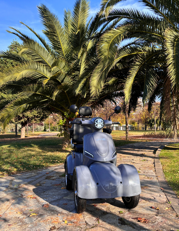 Dört Tekerlekli Moped